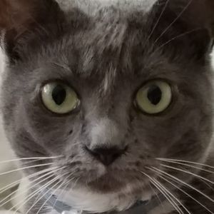 Meet your Posher, Rose